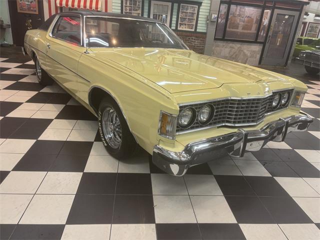 1973 Ford Galaxie 500 (CC-2066233) for sale in Annandale, Minnesota