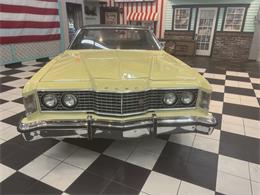 1973 Ford Galaxie 500 (CC-2066233) for sale in Annandale, Minnesota