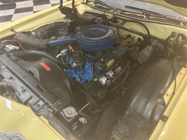 1973 Ford Galaxie 500 (CC-2066233) for sale in Annandale, Minnesota