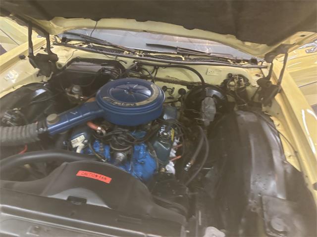 1973 Ford Galaxie 500 (CC-2066233) for sale in Annandale, Minnesota