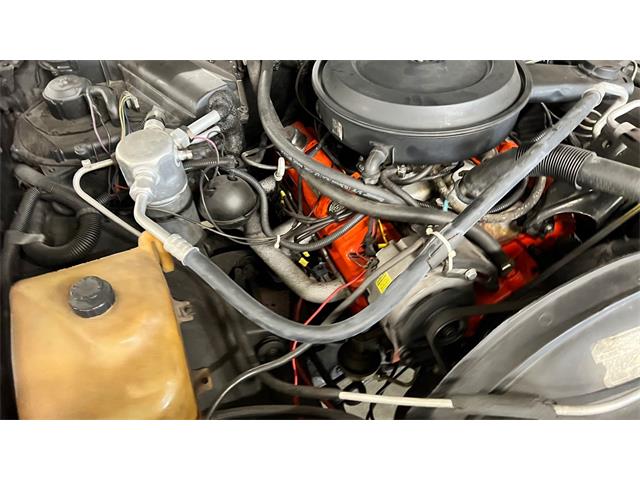 1981 Chevrolet El Camino (CC-2066237) for sale in Annandale, Minnesota