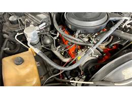 1981 Chevrolet El Camino (CC-2066237) for sale in Annandale, Minnesota