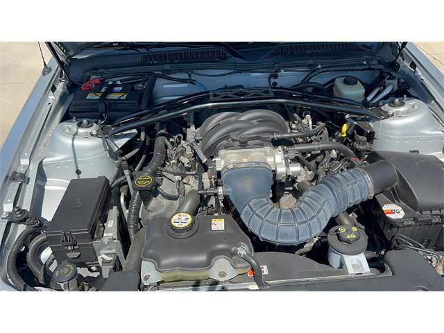 2006 Ford Mustang GT (CC-2066248) for sale in Annandale, Minnesota