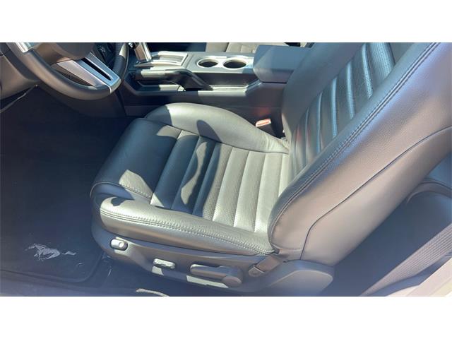 2006 Ford Mustang GT (CC-2066248) for sale in Annandale, Minnesota