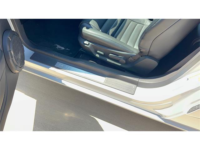 2006 Ford Mustang GT (CC-2066248) for sale in Annandale, Minnesota