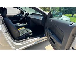 2006 Ford Mustang GT (CC-2066248) for sale in Annandale, Minnesota