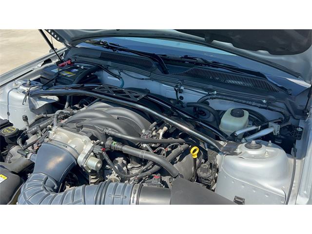 2006 Ford Mustang GT (CC-2066248) for sale in Annandale, Minnesota