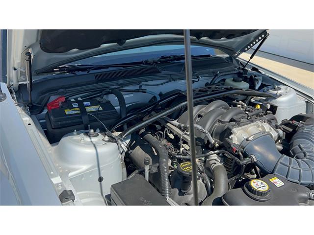 2006 Ford Mustang GT (CC-2066248) for sale in Annandale, Minnesota