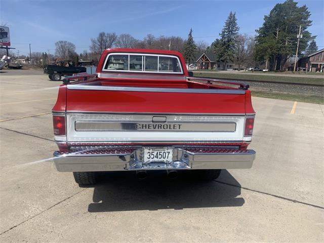 1980 Chevrolet Cheyenne (CC-2066251) for sale in Annandale, Minnesota