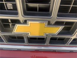 1980 Chevrolet Cheyenne (CC-2066251) for sale in Annandale, Minnesota