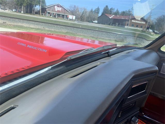 1980 Chevrolet Cheyenne (CC-2066251) for sale in Annandale, Minnesota