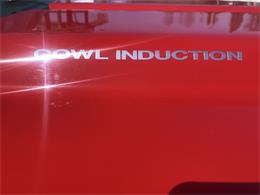 1980 Chevrolet Cheyenne (CC-2066251) for sale in Annandale, Minnesota