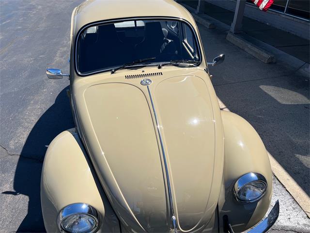 1971 Volkswagen Beetle (CC-2066267) for sale in Clarkston, Michigan