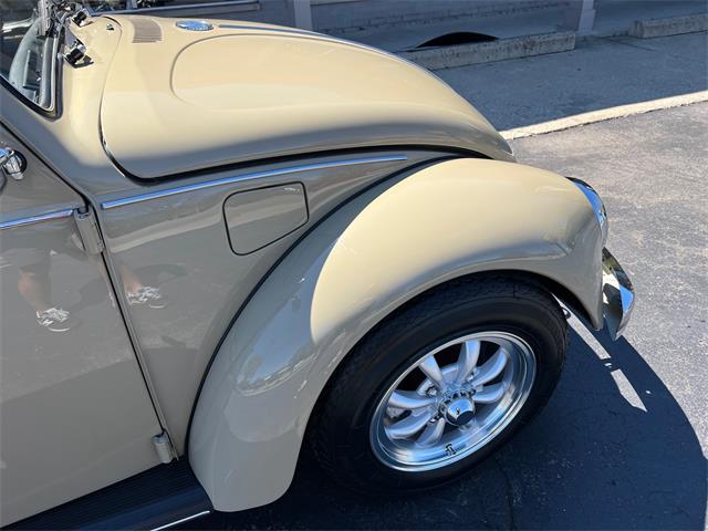 1971 Volkswagen Beetle (CC-2066267) for sale in Clarkston, Michigan