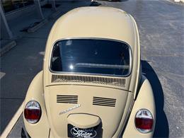 1971 Volkswagen Beetle (CC-2066267) for sale in Clarkston, Michigan