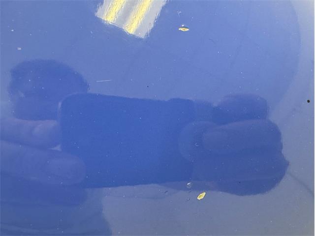 1978 Volkswagen Super Beetle (CC-2066286) for sale in Morgantown, Pennsylvania