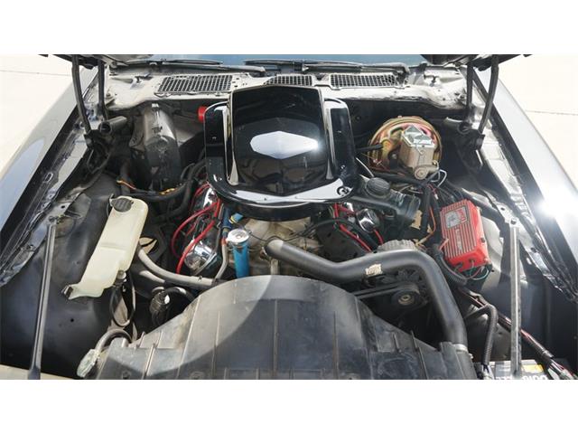 1980 Pontiac Firebird (CC-2066321) for sale in Grapevine, Texas