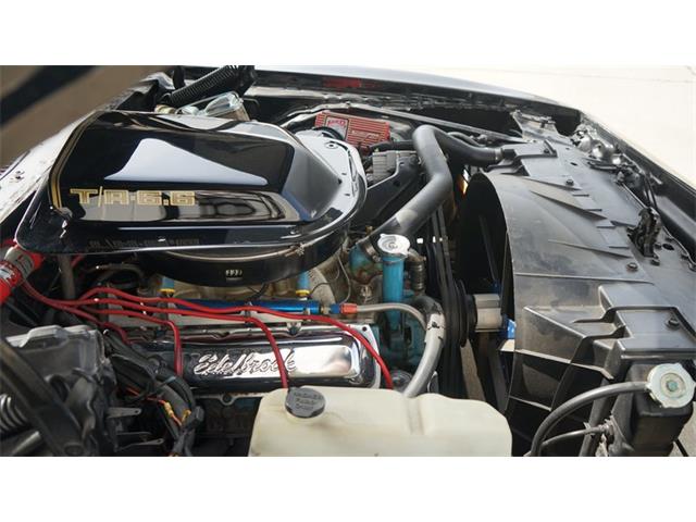 1980 Pontiac Firebird (CC-2066321) for sale in Grapevine, Texas