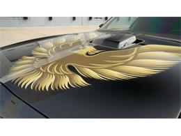 1980 Pontiac Firebird (CC-2066321) for sale in Grapevine, Texas