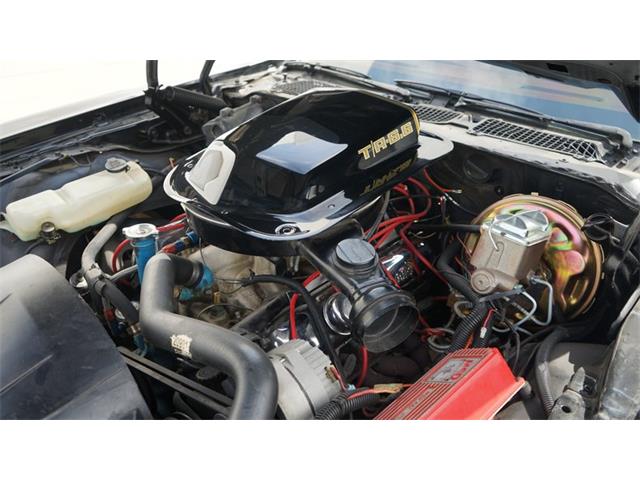 1980 Pontiac Firebird (CC-2066321) for sale in Grapevine, Texas