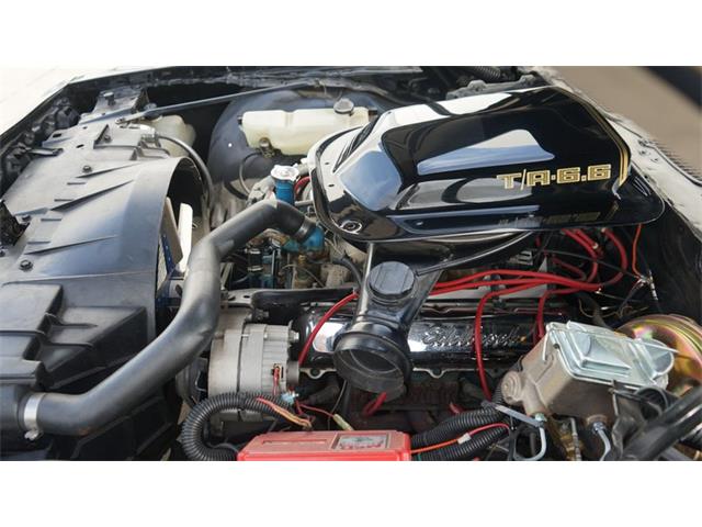 1980 Pontiac Firebird (CC-2066321) for sale in Grapevine, Texas