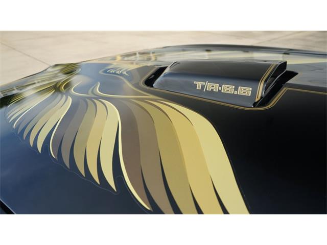 1980 Pontiac Firebird (CC-2066321) for sale in Grapevine, Texas