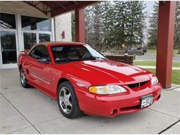 1994 Ford Mustang SVT Cobra (CC-2066332) for sale in Carlisle, Pennsylvania