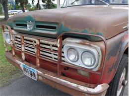 1959 Ford F100 (CC-2066338) for sale in Palmetto, Florida