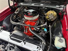 1969 Chevrolet Chevelle (CC-2066434) for sale in Paris , Kentucky