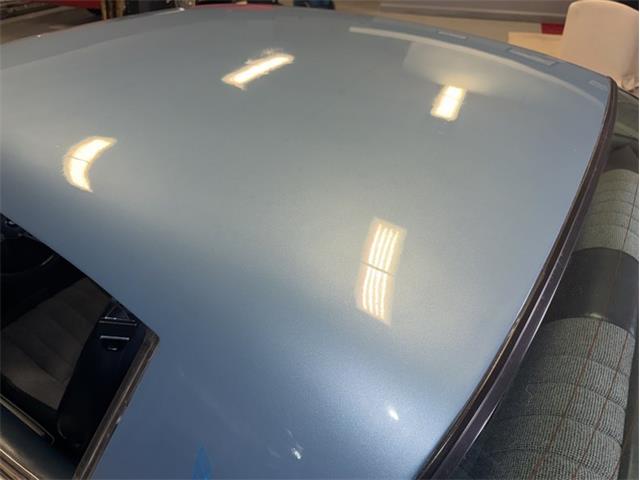 1981 Pontiac Firebird (CC-2066437) for sale in Fenton, Michigan