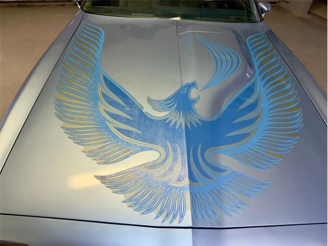 1981 Pontiac Firebird (CC-2066437) for sale in Fenton, Michigan
