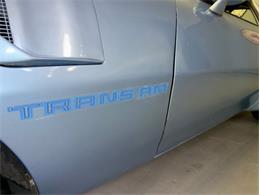 1981 Pontiac Firebird (CC-2066437) for sale in Fenton, Michigan