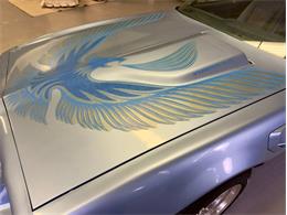 1981 Pontiac Firebird (CC-2066437) for sale in Fenton, Michigan