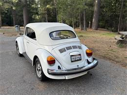 1979 Volkswagen Super Beetle (CC-2066458) for sale in Grass Valley, California