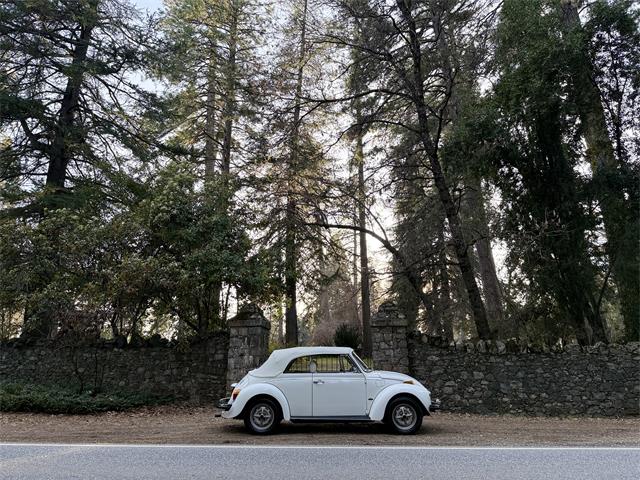 1979 Volkswagen Super Beetle (CC-2066458) for sale in Grass Valley, California
