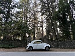 1979 Volkswagen Super Beetle (CC-2066458) for sale in Grass Valley, California