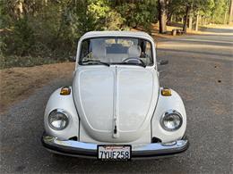 1979 Volkswagen Super Beetle (CC-2066458) for sale in Grass Valley, California
