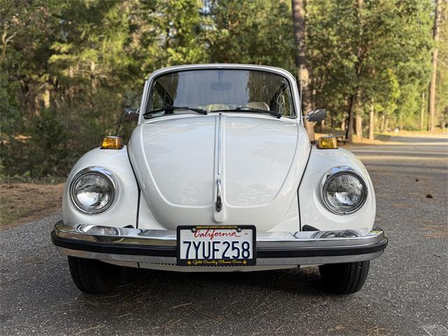 1979 Volkswagen Super Beetle (CC-2066458) for sale in Grass Valley, California