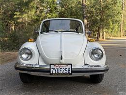 1979 Volkswagen Super Beetle (CC-2066458) for sale in Grass Valley, California