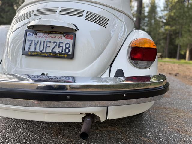 1979 Volkswagen Super Beetle (CC-2066458) for sale in Grass Valley, California