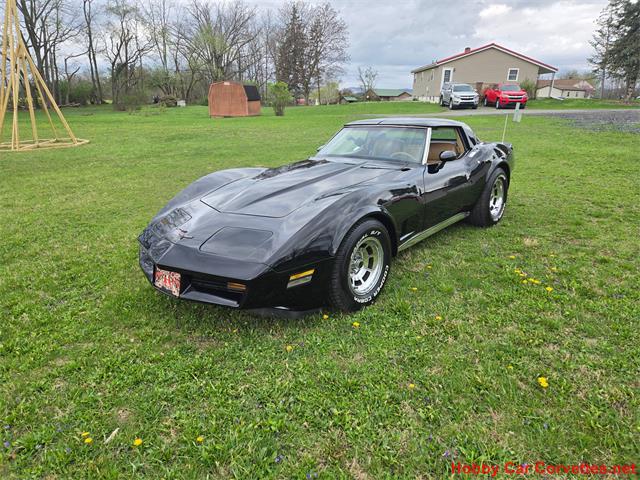 1981 Chevrolet Corvette (CC-2066476) for sale in MARTINSBURG, Pennsylvania