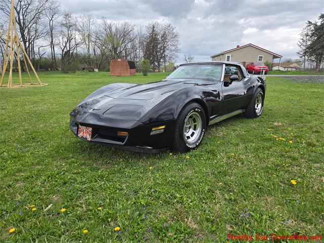 1981 Chevrolet Corvette (CC-2066476) for sale in MARTINSBURG, Pennsylvania