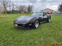 1981 Chevrolet Corvette (CC-2066476) for sale in MARTINSBURG, Pennsylvania