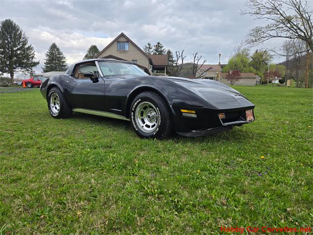 1981 Chevrolet Corvette (CC-2066476) for sale in MARTINSBURG, Pennsylvania