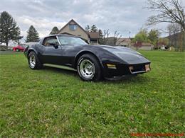 1981 Chevrolet Corvette (CC-2066476) for sale in MARTINSBURG, Pennsylvania