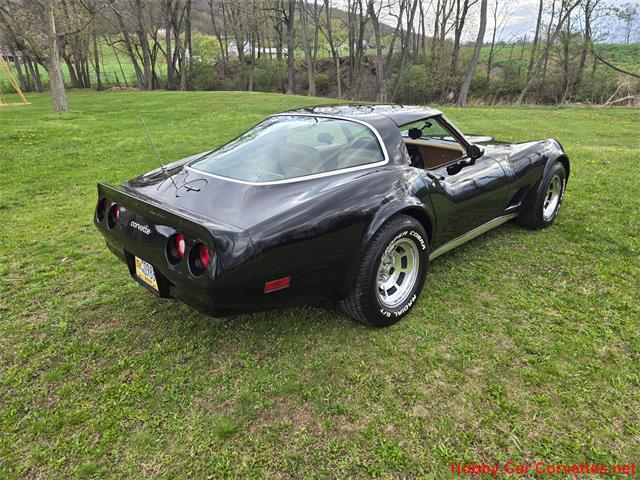 1981 Chevrolet Corvette (CC-2066476) for sale in MARTINSBURG, Pennsylvania