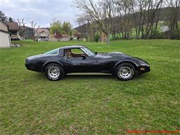 1981 Chevrolet Corvette (CC-2066476) for sale in MARTINSBURG, Pennsylvania