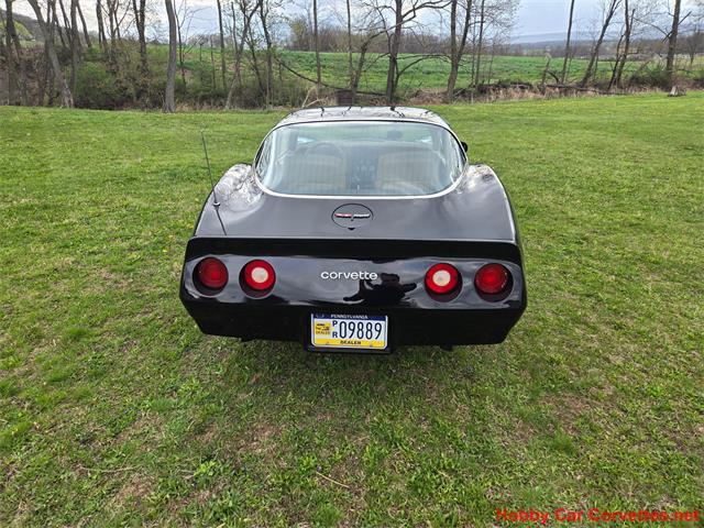 1981 Chevrolet Corvette (CC-2066476) for sale in MARTINSBURG, Pennsylvania