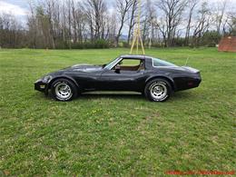 1981 Chevrolet Corvette (CC-2066476) for sale in MARTINSBURG, Pennsylvania