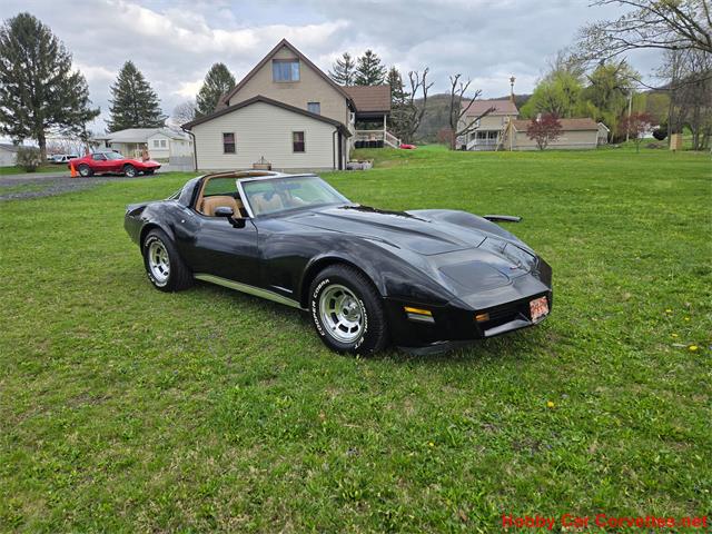 1981 Chevrolet Corvette (CC-2066476) for sale in MARTINSBURG, Pennsylvania